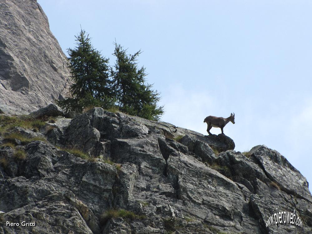 14 Dall'alto siamo ....jpg